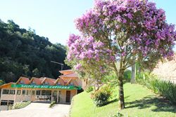 Ambiente Salto do Rio Capivara